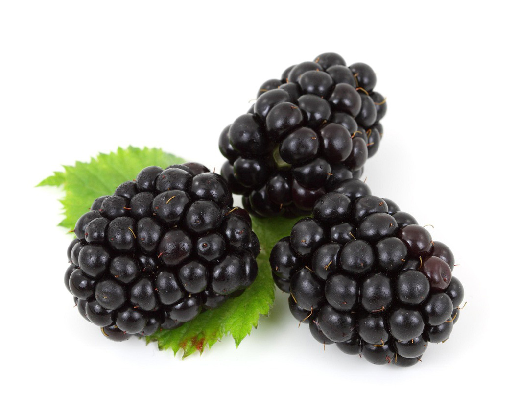 Blackberries Blackberries